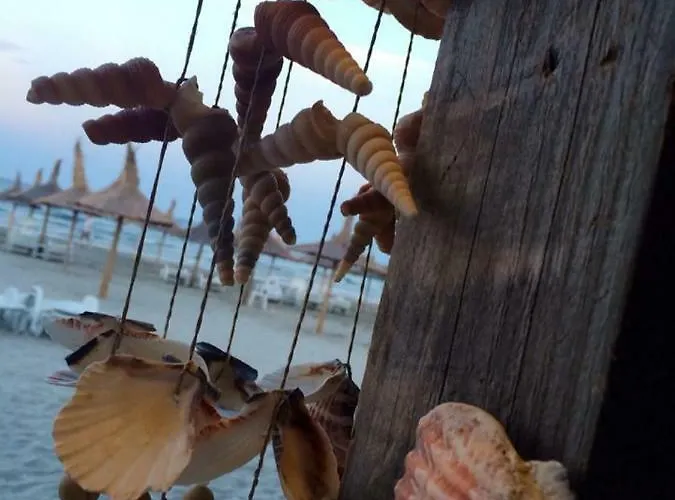 Vila Noa * Năvodari